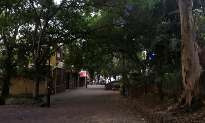 dowling street in woolloomooloo