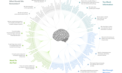 diagram showing cognitive biases and their relationships