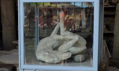 Pompeii 2015