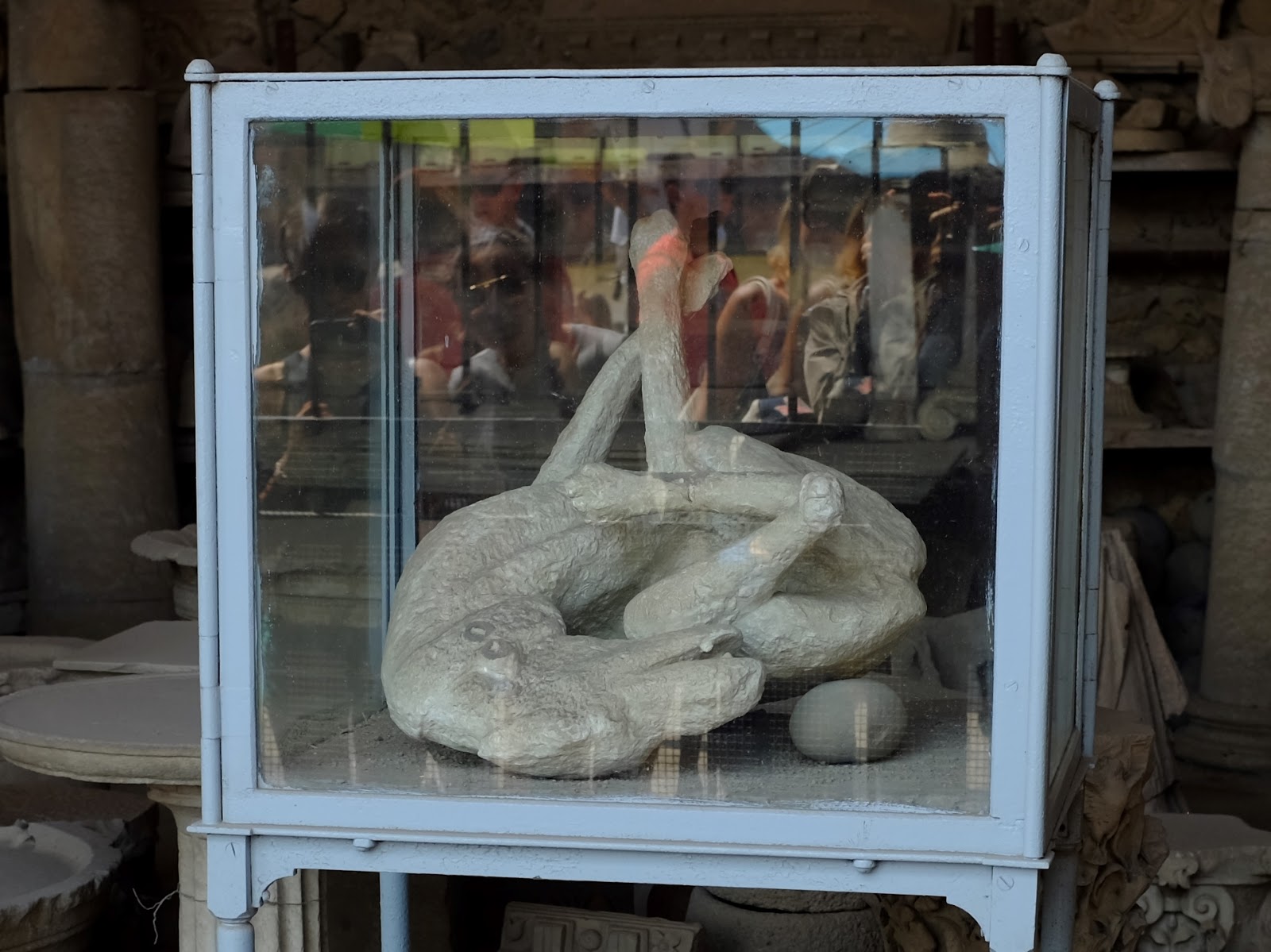 the pompeii dog