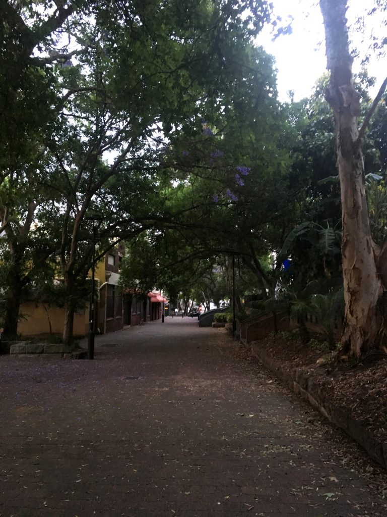 looking north-west along dowling street, woolloomooloo