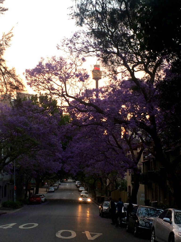 looking west along cathedral street from dowling street, woolloomooloo